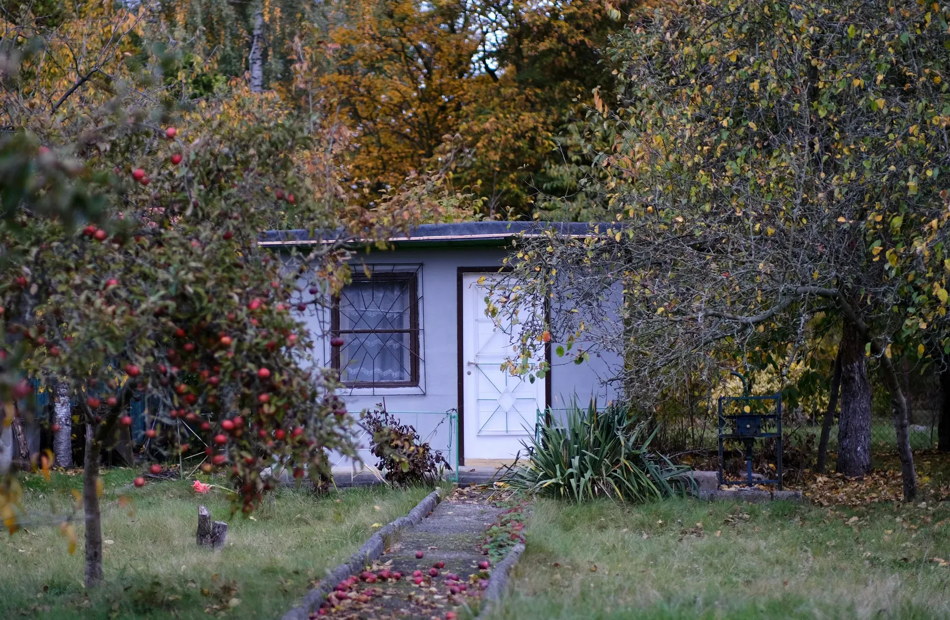 Detached backyard accessory dwelling unit in Spokane, Washington